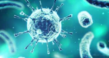 the Virus symptoms